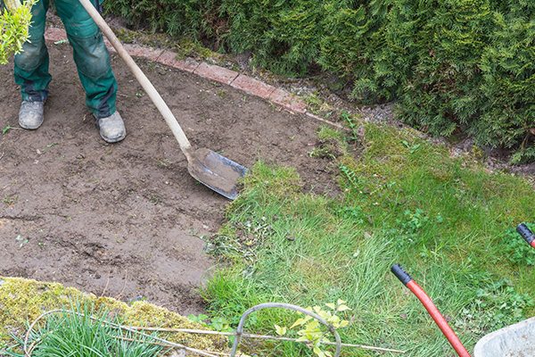 Lawn Reseeding, Denver, NC Bone�s Yard Care Solutions