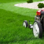 Lawn Mowing Service
