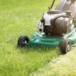 Lawn Cutting