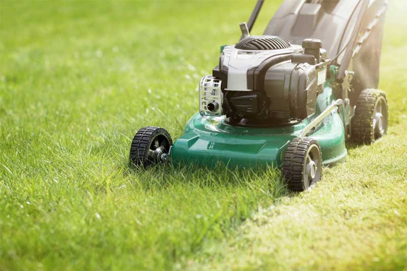 lawn care
