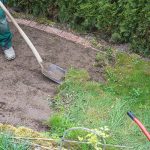 Lawn Reseeding