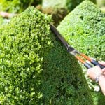 Lawn Trimming in Denver, North Carolina