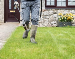 different advantages of professional fertilization
