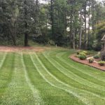 Commercial Lawn Care