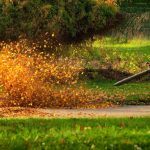 Leaf Cleanup