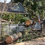 Debris Hauling