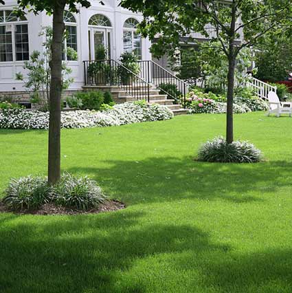 Bone's Yard Care Solutions