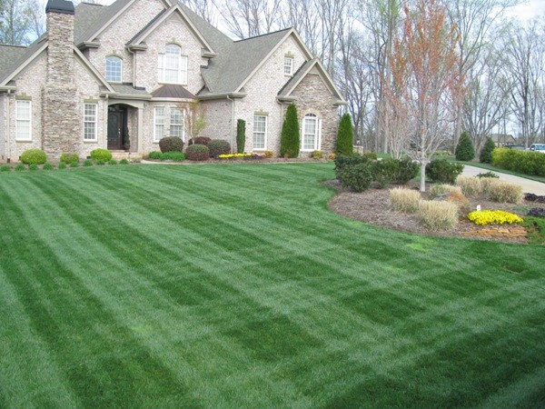 Bone's Yard Care Solutions