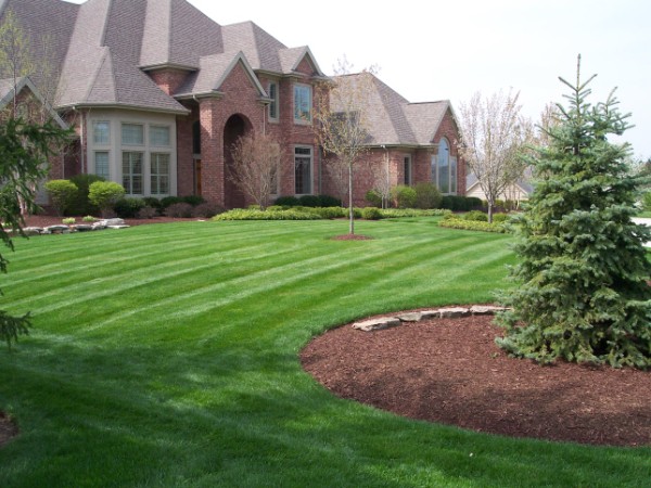 Bone's Yard Care Solutions