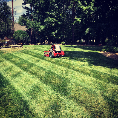 Bone's Yard Care Solutions