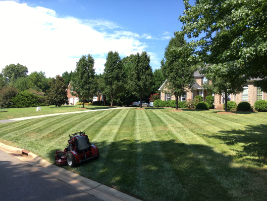 Bone's Yard Care Solutions