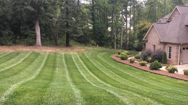 Bone's Yard Care Solutions