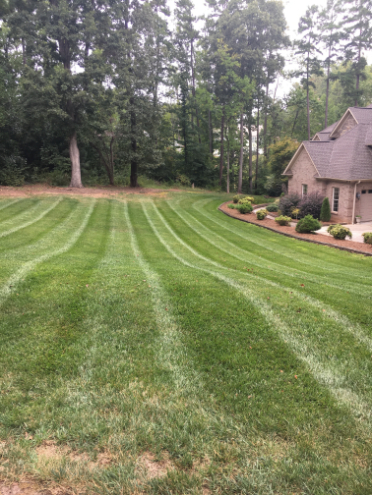 Bone's Yard Care Solutions